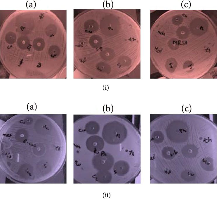 236072.fig.04