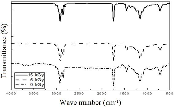 246096.fig.002