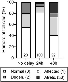 246108.fig.005b