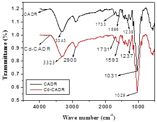 236055.fig.001b