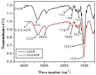 236055.fig.001b