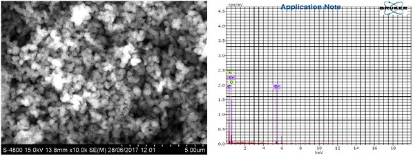 246138.fig.005c
