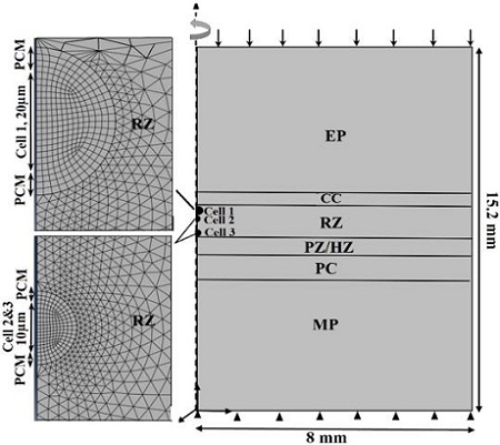 246116.fig.001