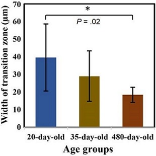 246116.fig.008