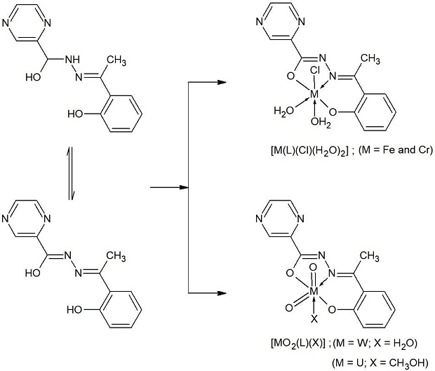 246138.fig.011