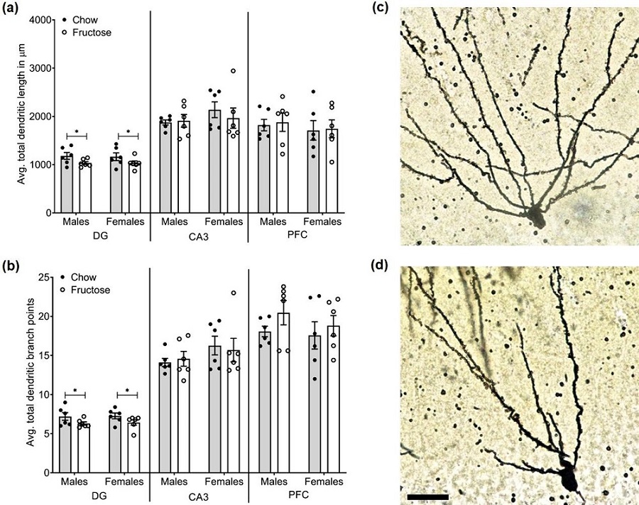 246142.fig.003