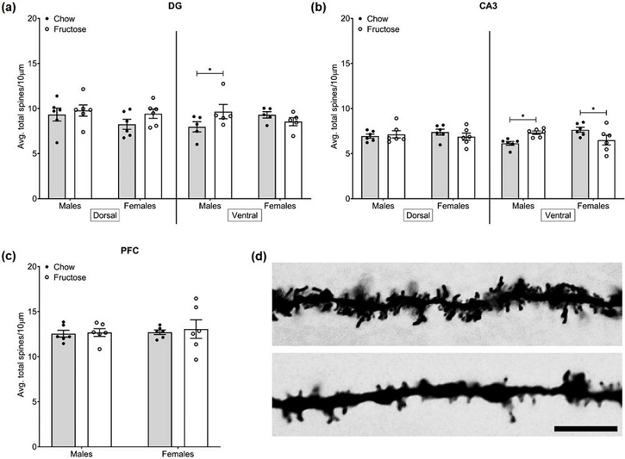 246142.fig.004